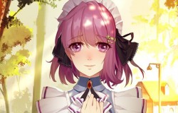 万金油阵容《姬魔恋战纪》新手必看攻略！