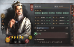 三国志战略版华佗玩法攻略 华佗阵容搭配