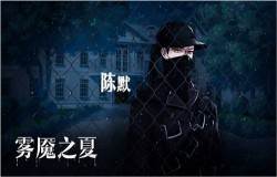卡车司机的独白《雾魇之夏》陈默的唯一身份