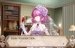 厮守终生《姬魔恋战纪》恋人的对戒